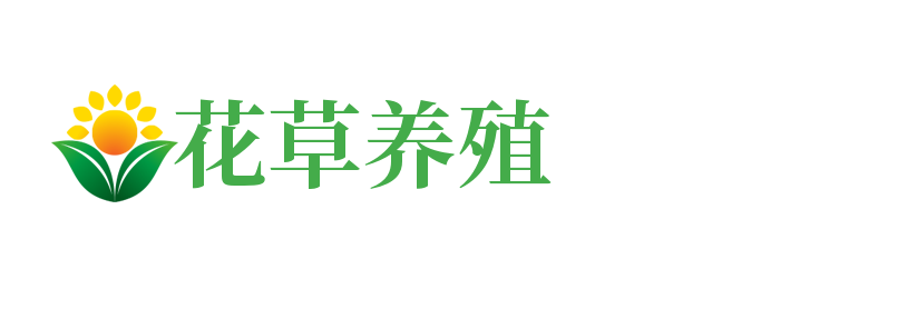 广东省江门市江海区震源仪促厨房设施有限责任公司